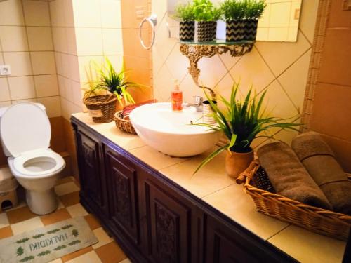 尼亚米卡尼奥纳Blue Moon Apartments的浴室配有水槽、卫生间和植物