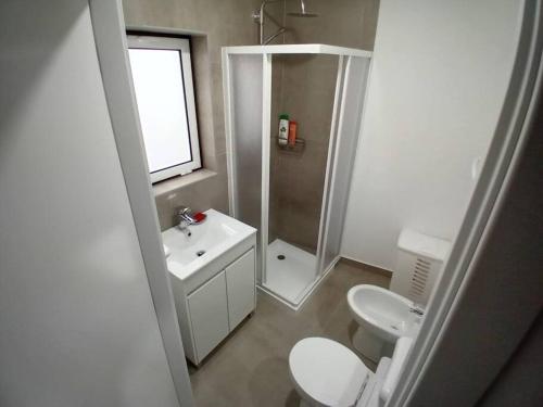波塔莱格雷Apartment in Semeador的浴室配有卫生间、淋浴和盥洗盆。