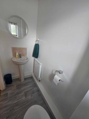 普里茅斯Entire 2 Bedroom House Modern Stylish Luxury的一间带卫生间、水槽和镜子的浴室