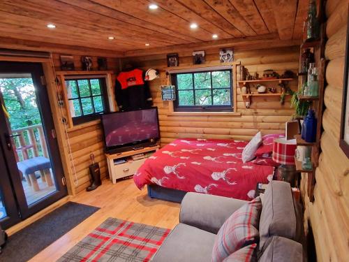 BlainaMiners log cabin的小木屋内一间卧室配有一张床和一台电视