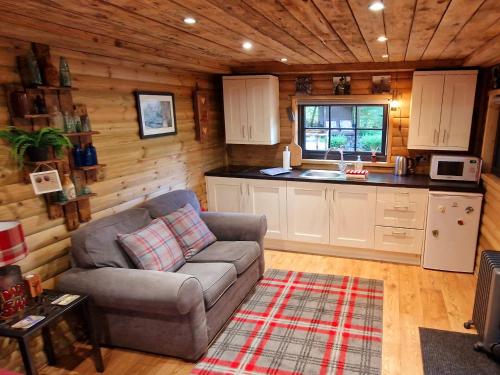 BlainaMiners log cabin的带沙发的客厅和厨房
