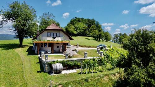 MirnaZerko Holiday Home - Vineyard Chalet With Sauna and Jacuzzi FREE的一座小房子,位于一座小山上,设有花园