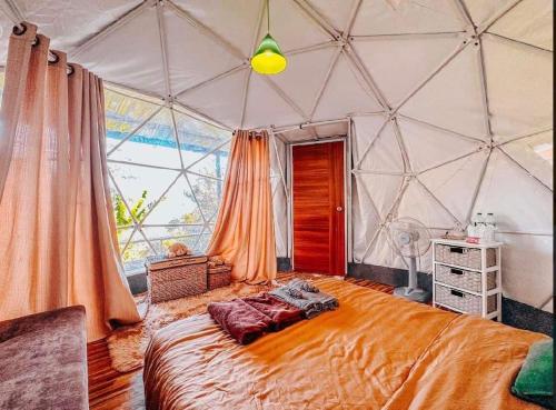 บ้านลิ้นจี่的一间设有一张床铺的大帐篷的房间