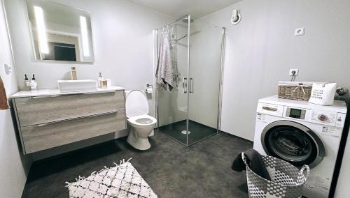 斯塔万格«Sea View Apartment Finnøy Island»的一间带卫生间和洗衣机的浴室