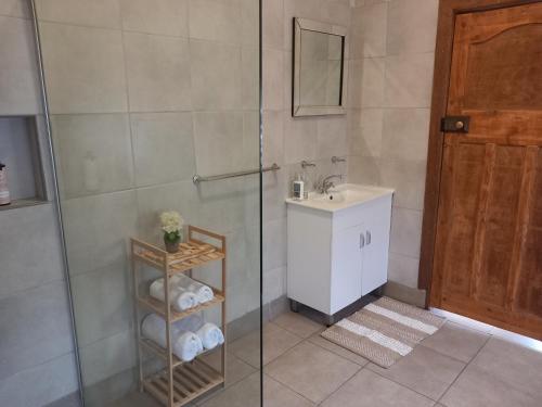 科尔斯伯格7 On Grey Guesthouse的带淋浴、盥洗盆和卫生间的浴室