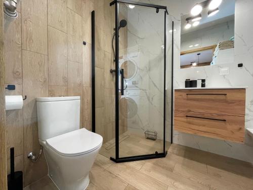 格但斯克Superior Baltea 3 rooms, Beach 800m, AirCondition的一间带卫生间和玻璃淋浴间的浴室