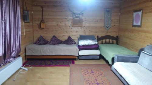 奥尔吉Tiny house in Ulgii的一间小房间,配有两张床和一张沙发