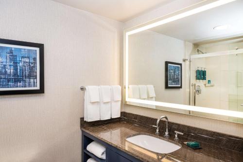 纽瓦克希尔顿逸林酒店纽瓦克机场的一间带水槽和大镜子的浴室