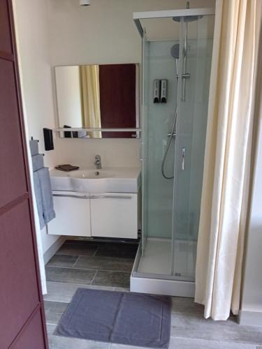 Chez Nicolas的带淋浴、盥洗盆和镜子的浴室