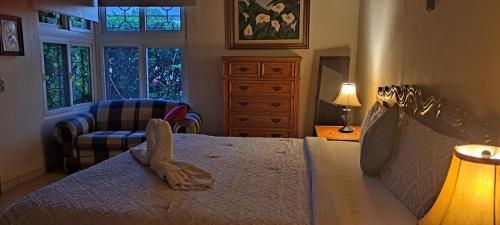 圣萨尔瓦多Kartagus Guest House的卧室配有床、椅子和窗户。