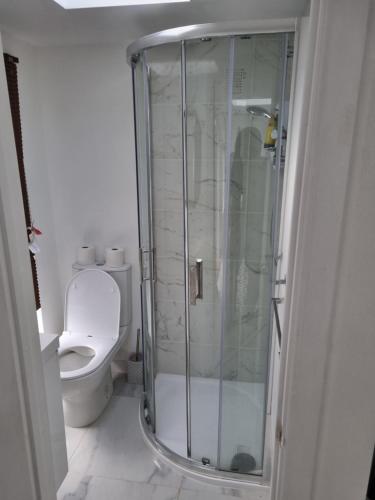 伦敦Holiday Out House的带淋浴和卫生间的浴室