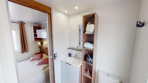基伯龙Mobil home Cygne 85的一间带水槽和镜子的小浴室
