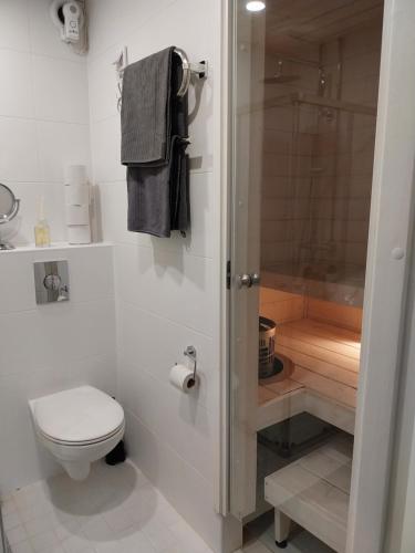 拉赫蒂Villa Helena的白色的浴室设有卫生间和淋浴。