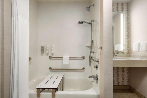 休斯顿休斯敦能源走廊希尔顿花园酒店的带浴缸和盥洗盆的浴室