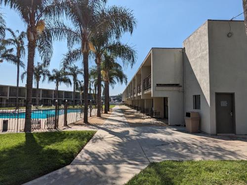 米申希尔斯山谷旅馆的一座棕榈树环绕的游泳池建筑