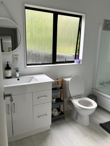 奥克兰吉维后斯特斯民宿的一间带卫生间、水槽和窗户的浴室