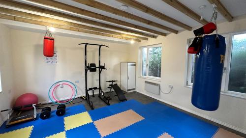 伦敦North London A spacious 7 bedroom house accommodating up to 18 people complete with own gym and table tennis的一间健身房,在房间内备有一个冲洗袋