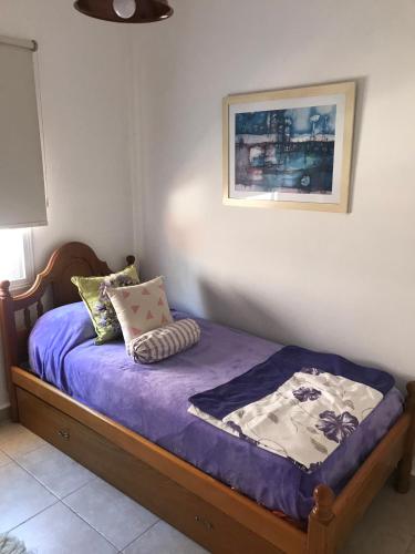 里奥塞瓦约斯Complejo Los Aromitos 1的一间卧室配有一张带紫色床单和枕头的床。