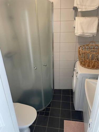 卡尔马Historisk Charm i Hjärtat av Gamla Stan Kalmar的带淋浴、卫生间和盥洗盆的浴室