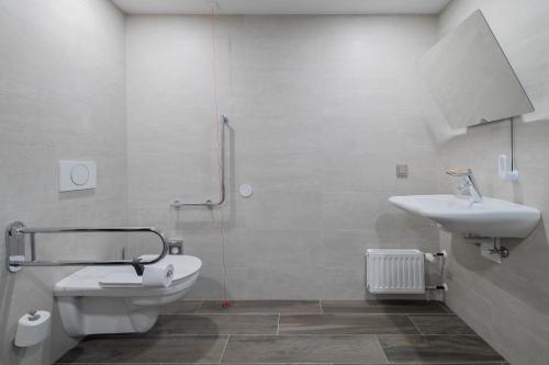 维也纳新城Hilton Garden Inn Wiener Neustadt的一间带水槽和卫生间的浴室