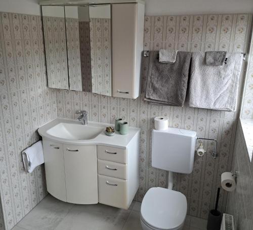 克拉姆萨赫Ferienwohnung Waldblick的一间带水槽、卫生间和镜子的浴室