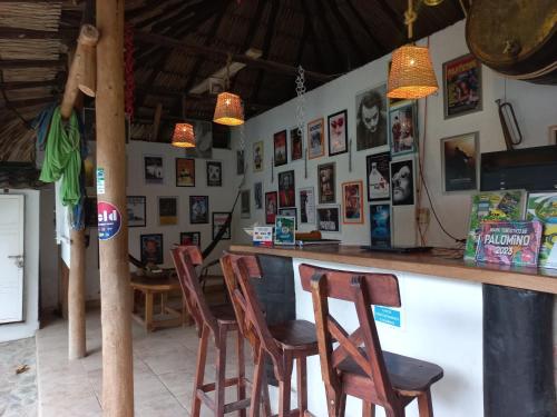 帕洛米诺El Leon Feliz Palomino的酒吧的墙上挂着椅子和图片