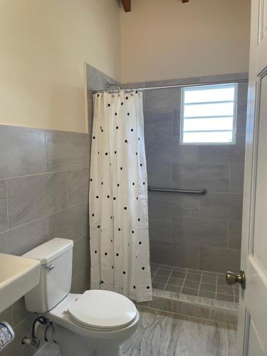 WoodsPoinciana Villas的一间带卫生间和淋浴帘的浴室