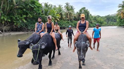 CARABAO Hostel平面图