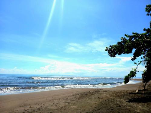 托尔图格罗Tortuguero Adventures Beach House的海滩与大海相映成趣