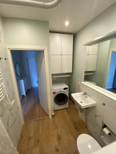 维尔纽斯Apartment Fontanu Namai的一间带洗衣机和水槽的浴室