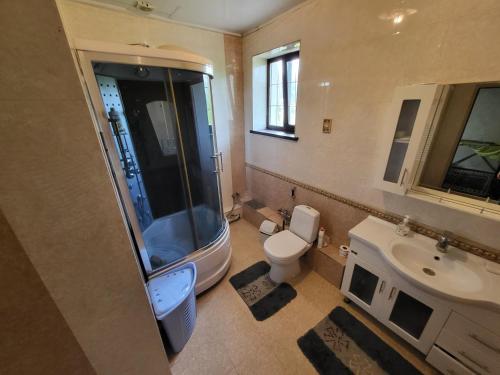 阿拉木图Almaty guest house的带淋浴、卫生间和盥洗盆的浴室