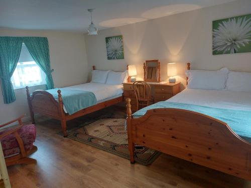 CarrickmoreDrumaneir Cottage的一间卧室配有两张床和一张带镜子的桌子