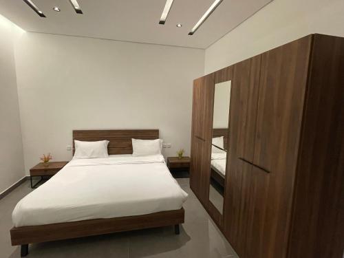 欧拉LADAN APARTMENT的一间卧室配有一张大床和镜子