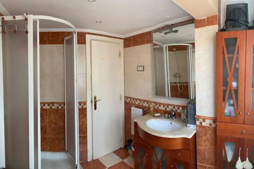 贝梅奥CASCO VIEJO的一间带水槽和淋浴的浴室