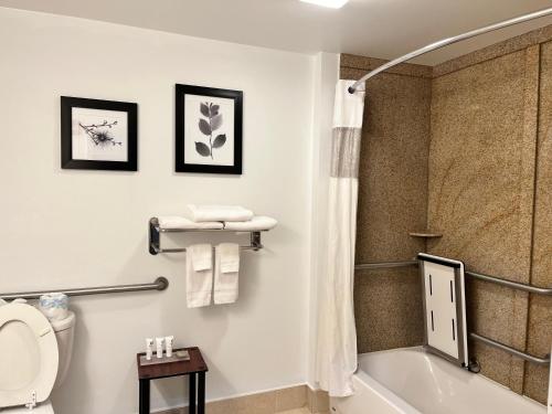 哈里斯堡Country Inn & Suites by Radisson, Harrisburg - Hershey West, PA的带浴缸、卫生间和淋浴的浴室。
