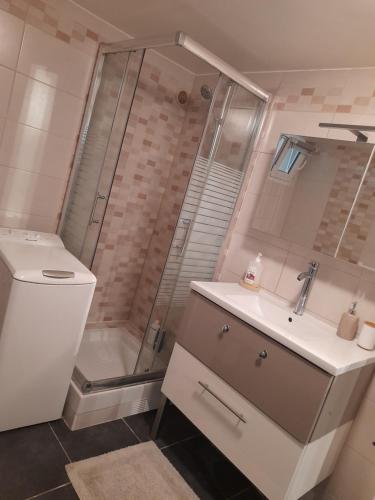 新城勒鲁瓦Appartement proche d'Orly的带淋浴、盥洗盆和卫生间的浴室