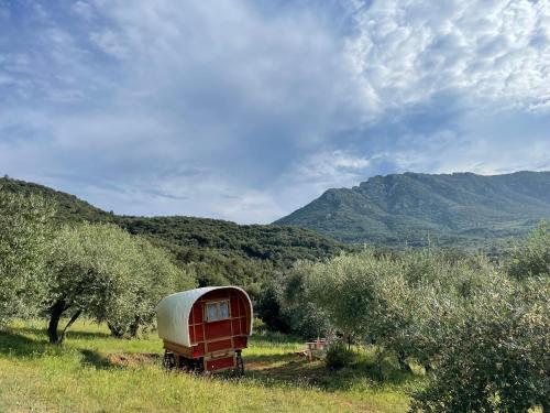 屈屈尼昂Le Camping de Cucugnan的一辆停在有树的田野里的老红色卡车