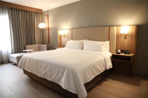 杜兰戈杜兰戈假日酒店的酒店客房带一张大床,带白色床单