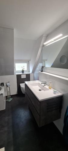 KonradsreuthFerienwohnung, Urlaub im Frankenwald的白色的浴室设有水槽和卫生间。