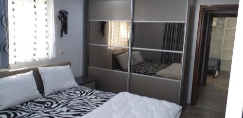 巴克乌Apartament 2 camere的一间带镜子的卧室和一张床铺