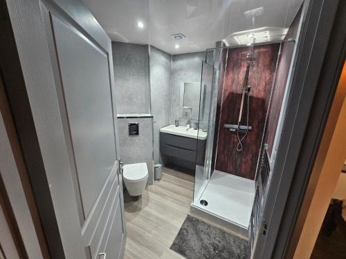克勒姆福特Melfort Pier & Harbour Resort的一间带卫生间和淋浴的小浴室
