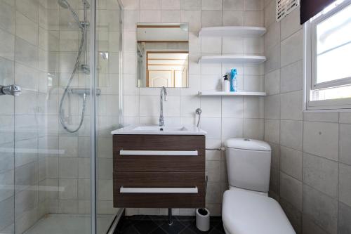 奥斯特韦克26, gelegen in het bosrijke Oisterwijk met privé tuin!的带淋浴、卫生间和盥洗盆的浴室