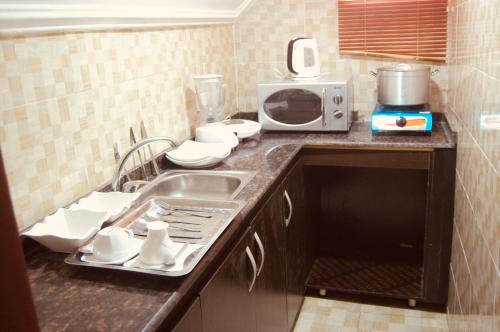 阿布贾E-Suites Hotel, Abuja的厨房配有水槽和微波炉