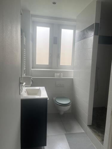 塞纳河畔埃皮奈Oisis Urbaine的一间带卫生间、水槽和窗户的浴室
