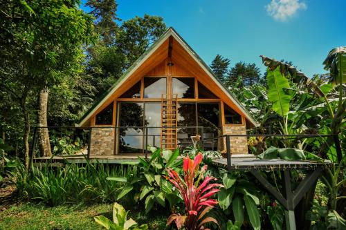 蒙泰韦尔德哥斯达黎加Tityra Lodge的花园中间的小房子