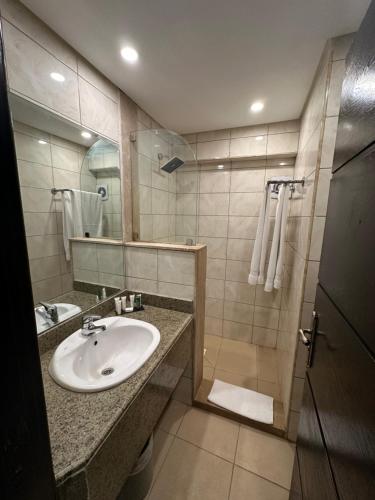 沙姆沙伊赫Villa Silia的一间带水槽和淋浴的浴室