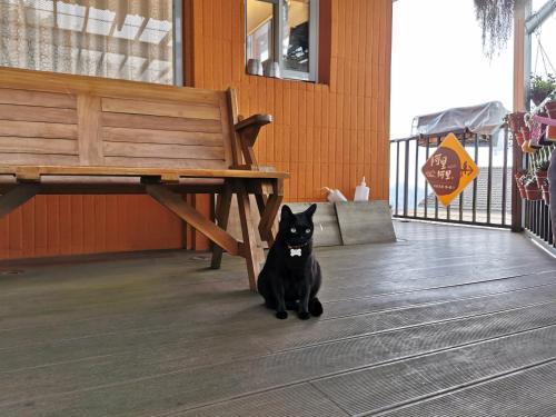 嘉义市阿里阿里民居的坐在凳子旁边的地板上的一只黑猫