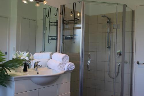 陶朗加McLaren Lake View的浴室配有盥洗盆、淋浴和毛巾