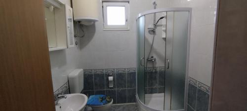 普洛切Apartment Štrbić的带淋浴和盥洗盆的浴室
