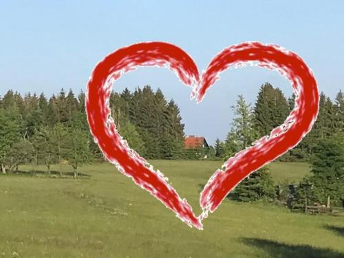 圣安德里斯伯格HARZchen的草上涂着的红心